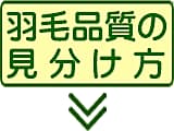 羽毛の選び方？羽毛の種類と暖かさ