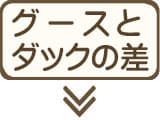 ダックとグースのダウンの違い