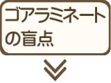 ゴアラミネート加工の誤解