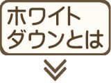 ホワイトダウン