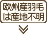 ヨーロッパ産ダウンの産地は？