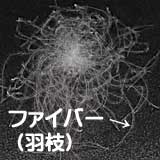 ダウンボール羽枝