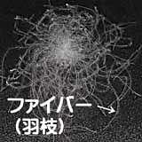 ダウンボール羽枝