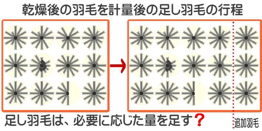 洗浄乾燥後の羽毛に不足分の羽毛を足す行程のイメージ図