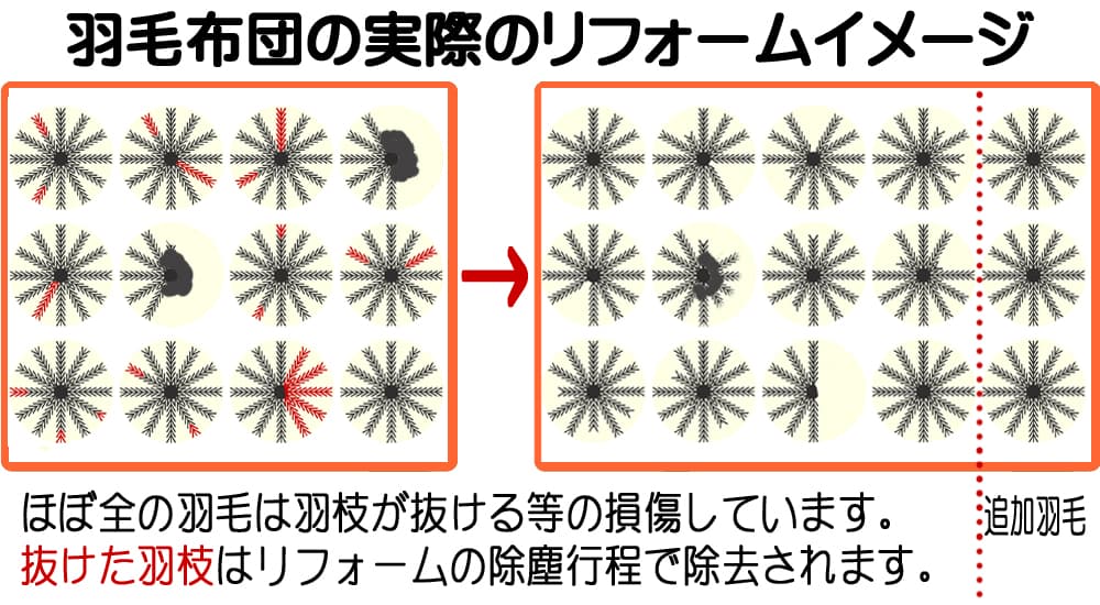 羽毛を打ち直す前の汚れたりゴミがある状態と打ち直し後クリーンな羽毛と新しい羽毛が追加された様子・打ち直しのビフォーアフターのイメージ図