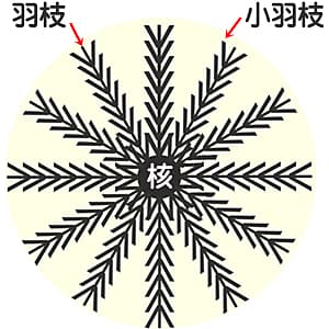 正常なダウンボールのイメージ図