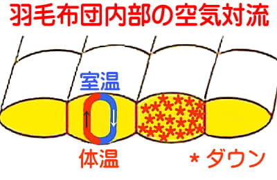 羽毛布団内部の空気の移動