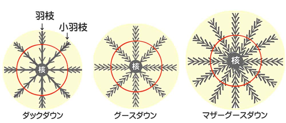 ダックとグースのダウンボールの構造イメージ