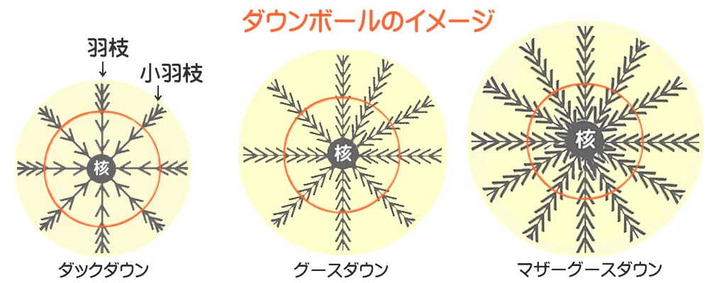 ダックとグースとマザーグースのダウンボールの構造イメージ図