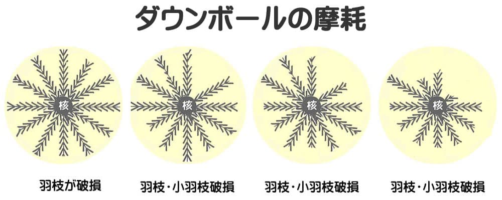 羽毛の摩耗劣化
