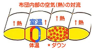 羽毛布団の蓄熱放熱の仕組み表すイメージ図