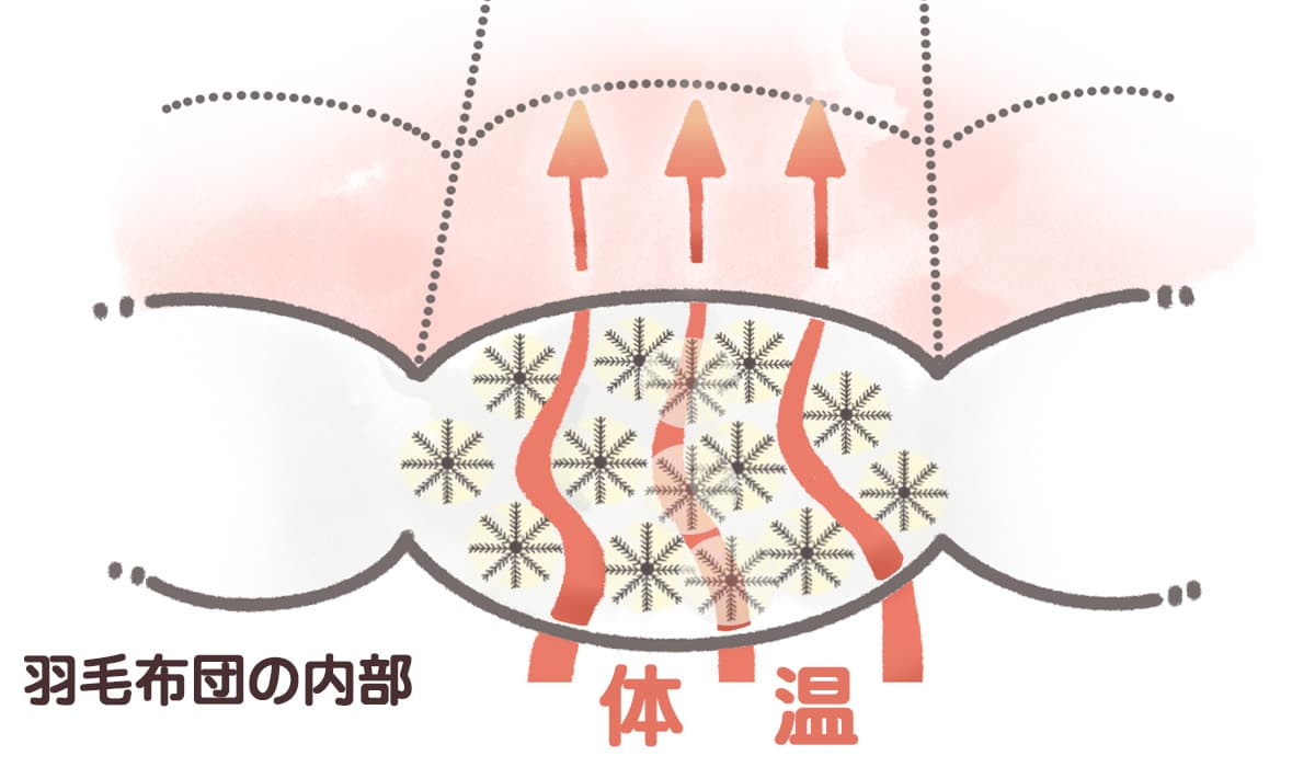 羽毛布団内部にて羽毛が空気(熱)の対流を遮断して保温する仕組みを表すイメージ図