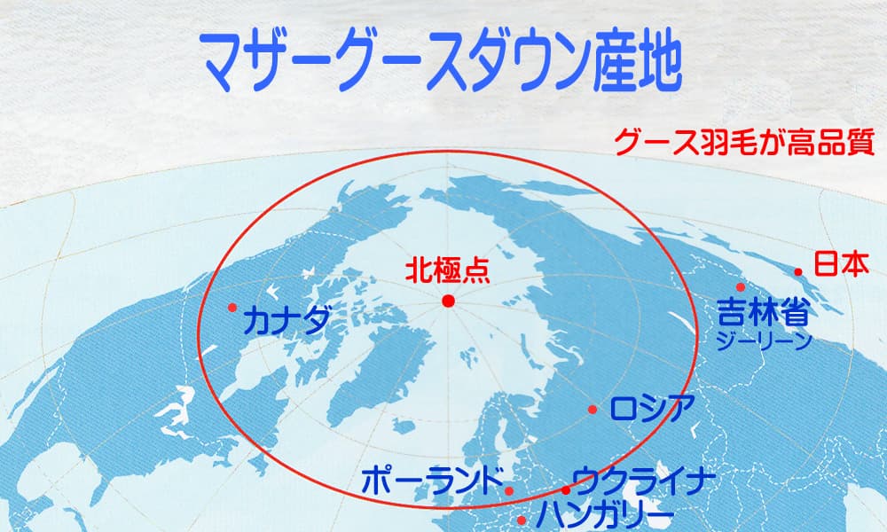 マザーグースダウンの主な産地の地図・赤いラインは北緯50度