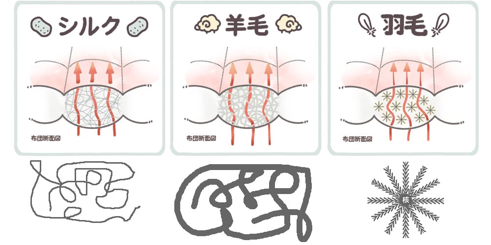 羽毛・シルク・ウールの繊維掲示用の違いを示すイメージ図、下段は各素材繊維の形状を拡大したもの