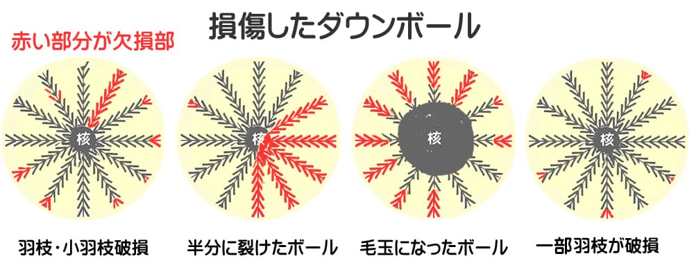 プロが証言 羽毛布団の打ち直しの全て 買い替えとの違いを図解 寝心地探求紀行