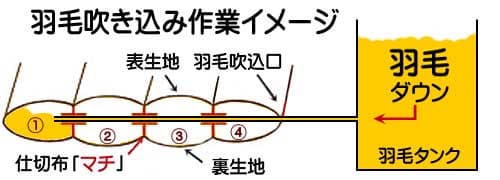 羽毛の吹き込み図