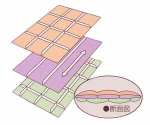 京都西川羽毛布団4e5505３層構造イメージ図