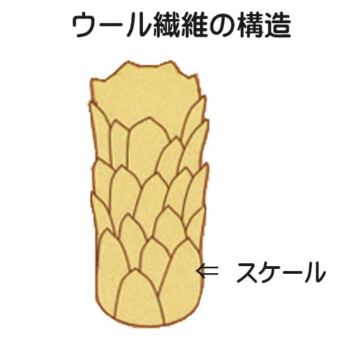 ムートンの繊維の表面のスケール