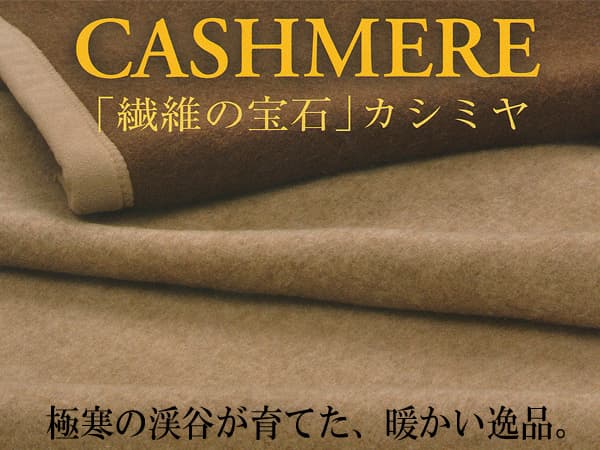 京都西川日本製カシミヤ100%毛布kn-8600