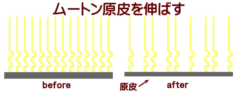 原皮のイメージ