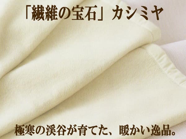 京都西川日本製ホワイトカシミヤ100%毛布kn-wor7012