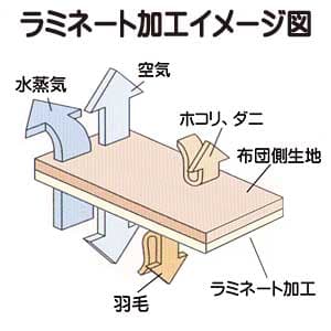 ゴアラミネートのイメージ図