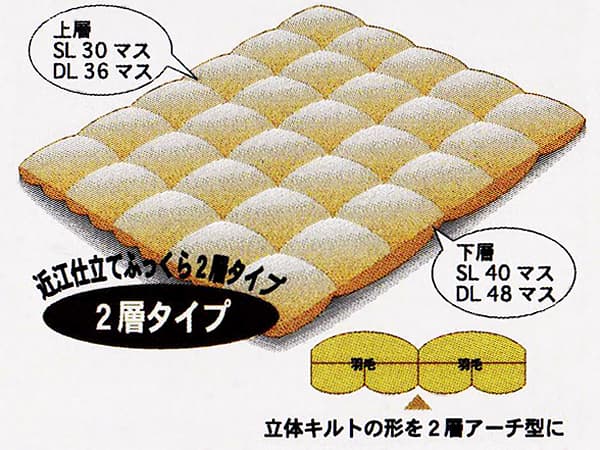 西川羽毛布団nl-6065