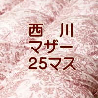 西川羽毛布団4e5870pm-25b