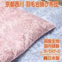 西川羽毛布団kn-4e5870pg900