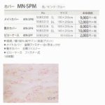 mn-spm-dlカタログ情報