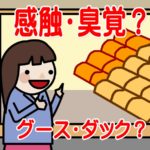 五感で選ぶ羽毛布団