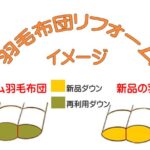 羽毛布団の打ち直しと新品の比較