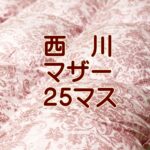 西川25マス日本製羽毛布団ポーランド産マザーグース80超長綿シングル