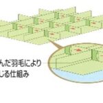 羽毛の移動を軽減するHMキルト